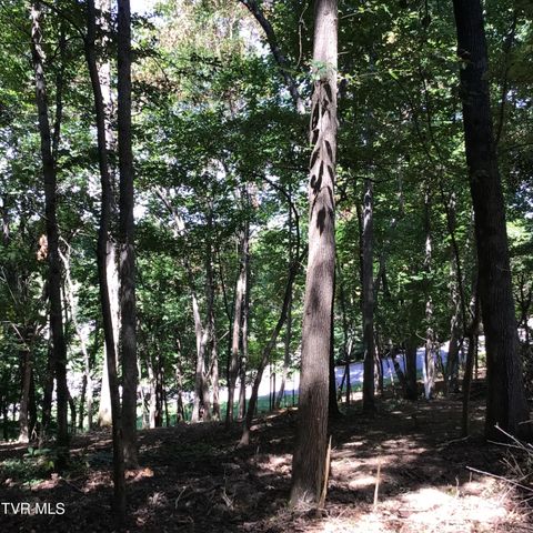 L23r Maple Crest, Greeneville, TN 37743