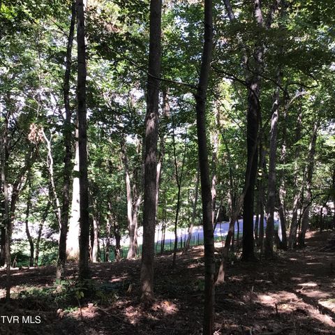 L23r Maple Crest, Greeneville, TN 37743