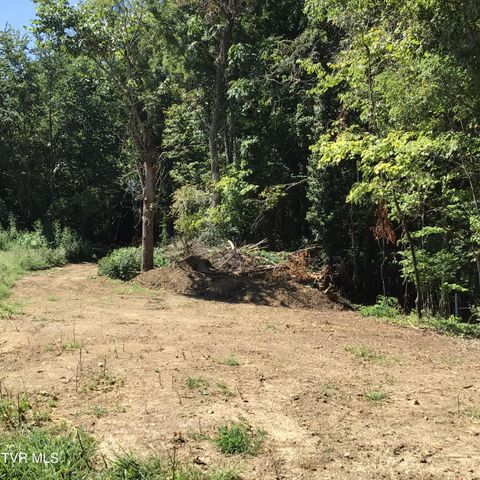 L23r Maple Crest, Greeneville, TN 37743