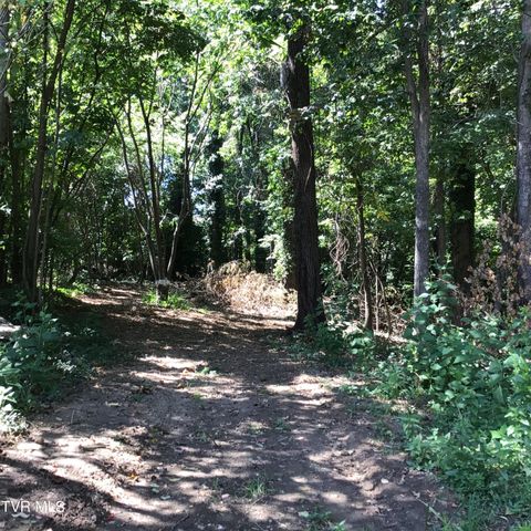 L23r Maple Crest, Greeneville, TN 37743