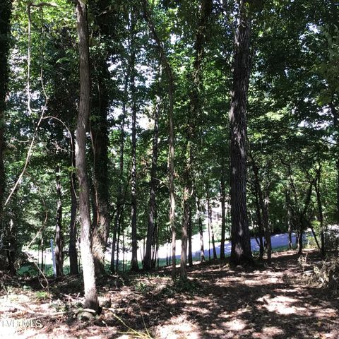 L23r Maple Crest, Greeneville, TN 37743