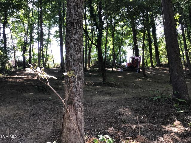 L23r Maple Crest, Greeneville, TN 37743