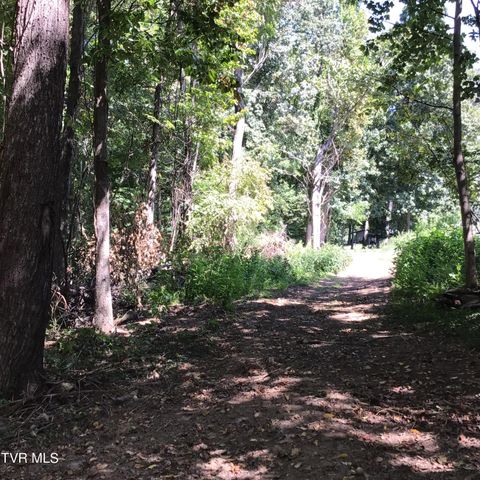 L23r Maple Crest, Greeneville, TN 37743