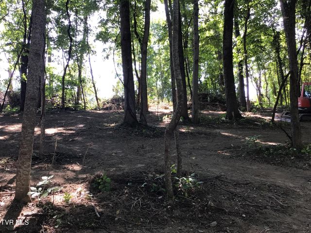 L23r Maple Crest, Greeneville, TN 37743