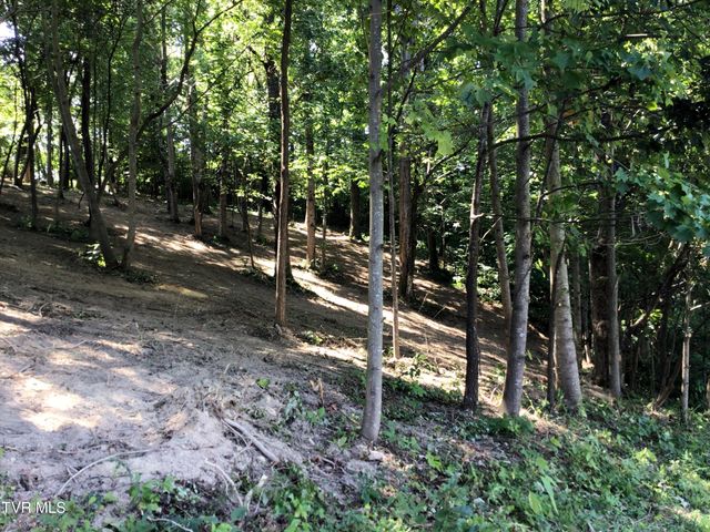 L23r Maple Crest, Greeneville, TN 37743