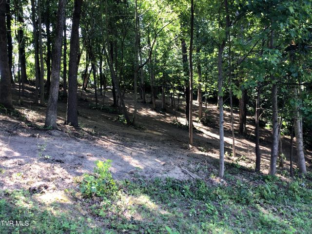 L23r Maple Crest, Greeneville, TN 37743