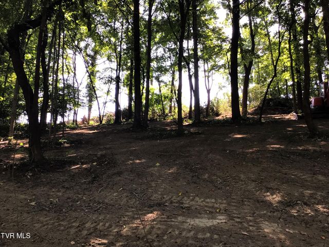 L23r Maple Crest, Greeneville, TN 37743