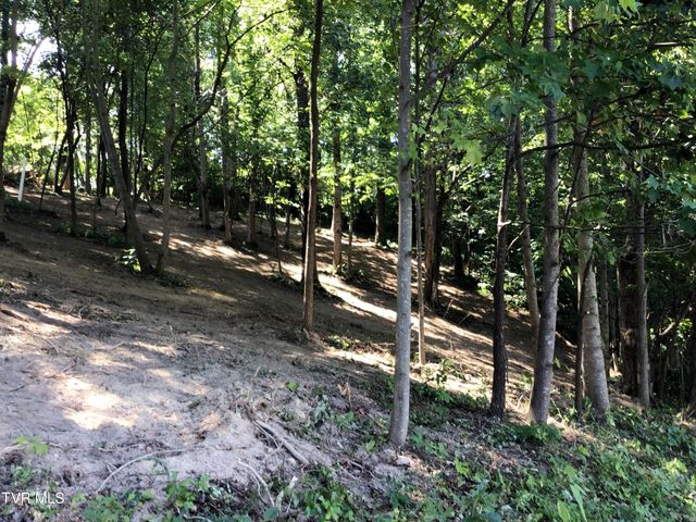 L23r Maple Crest, Greeneville, TN 37743