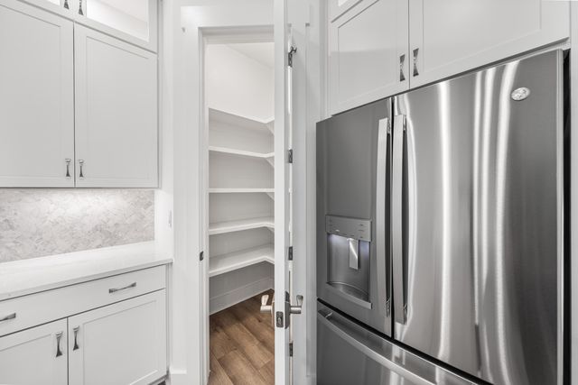 169 Orman Court, Inlet Beach, FL 32461