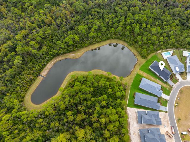 169 Orman Court, Inlet Beach, FL 32461