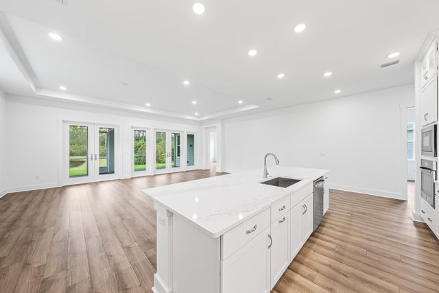 169 Orman Court, Inlet Beach, FL 32461