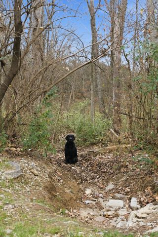 814 Bracken Trl, Nashville, TN 37214