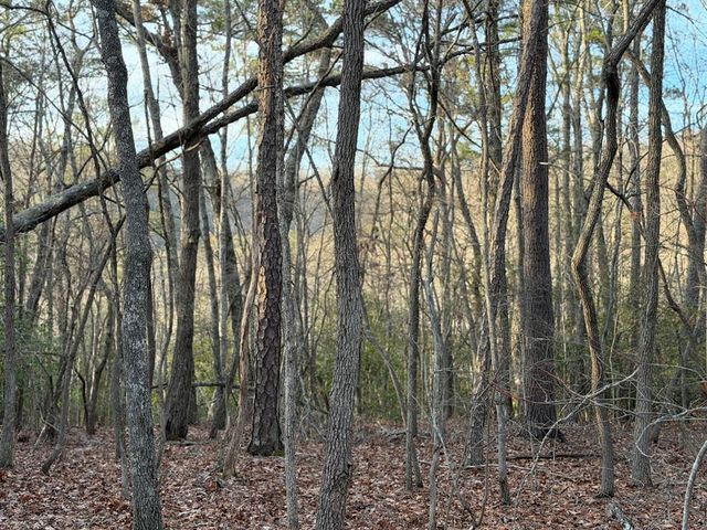 Lot #118 Royal View Landing, Murphy, NC 28906