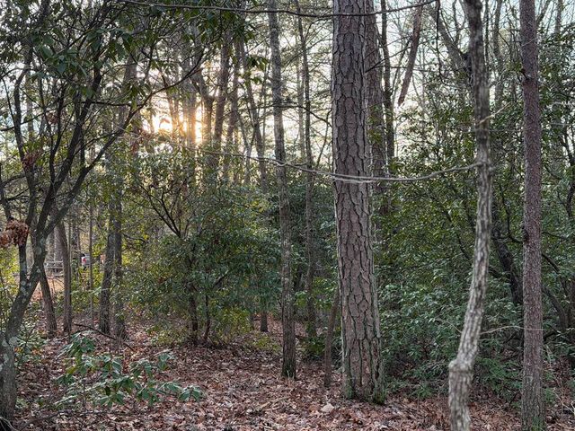 Lot #118 Royal View Landing, Murphy, NC 28906