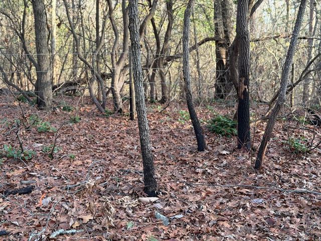 Lot #118 Royal View Landing, Murphy, NC 28906