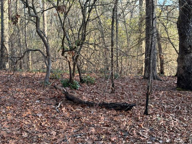 Lot #118 Royal View Landing, Murphy, NC 28906