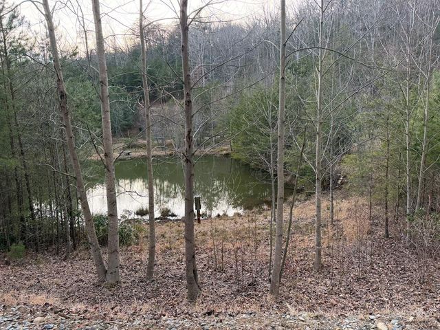 Lot #118 Royal View Landing, Murphy, NC 28906
