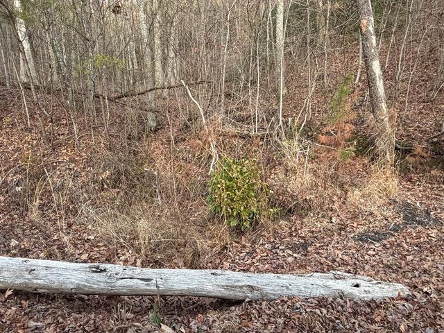 Lot #118 Royal View Landing, Murphy, NC 28906