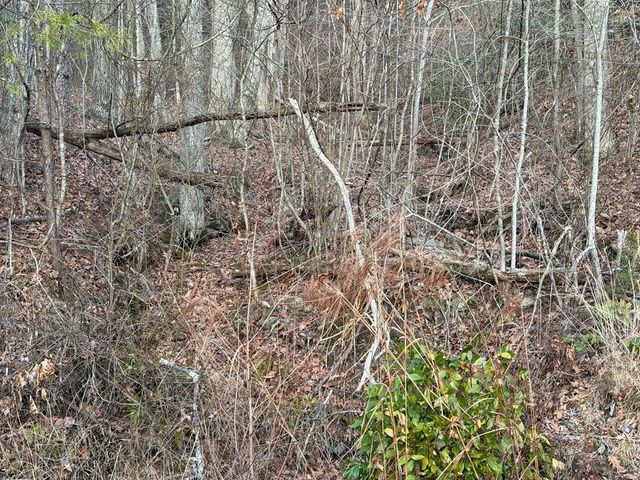 Lot #118 Royal View Landing, Murphy, NC 28906