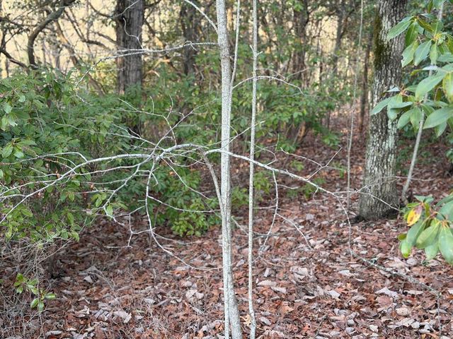 Lot #118 Royal View Landing, Murphy, NC 28906