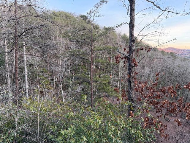Lot #118 Royal View Landing, Murphy, NC 28906