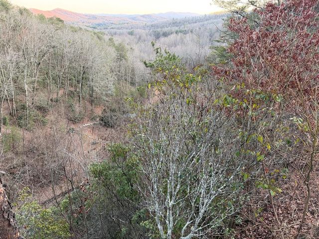 Lot #118 Royal View Landing, Murphy, NC 28906