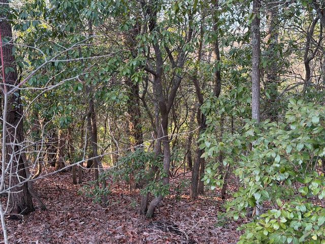 Lot #118 Royal View Landing, Murphy, NC 28906