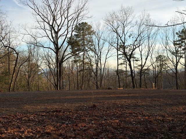 Lot #118 Royal View Landing, Murphy, NC 28906