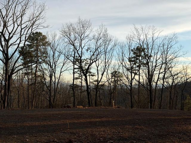 Lot #118 Royal View Landing, Murphy, NC 28906