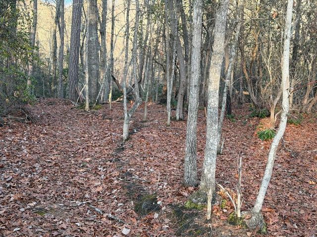 Lot #118 Royal View Landing, Murphy, NC 28906