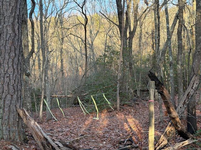 Lot #118 Royal View Landing, Murphy, NC 28906