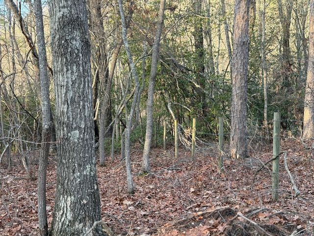 Lot #118 Royal View Landing, Murphy, NC 28906
