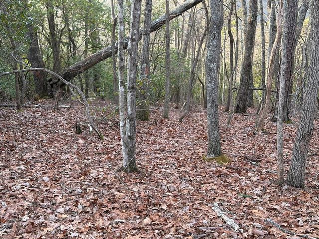 Lot #118 Royal View Landing, Murphy, NC 28906