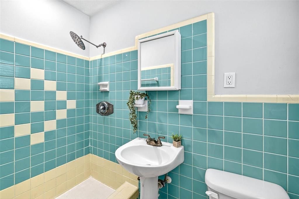 Image 42 of property listing at 206 FOREST PARK AVENUE, Temple Terrace, FL 33617