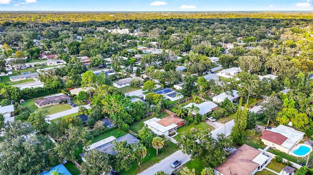 Image 57 of property listing at 206 FOREST PARK AVENUE, Temple Terrace, FL 33617
