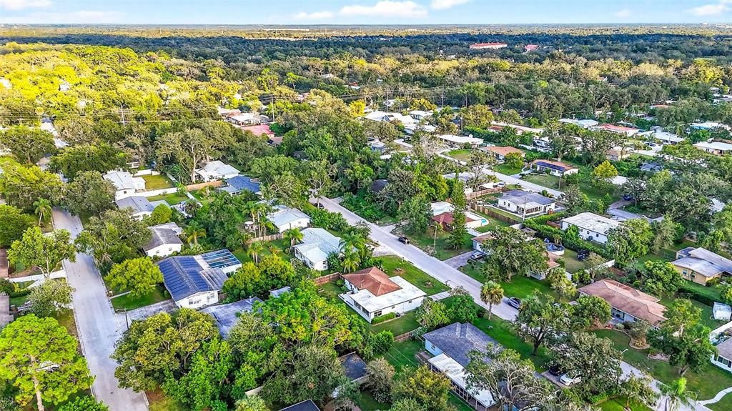 Image 59 of property listing at 206 FOREST PARK AVENUE, Temple Terrace, FL 33617