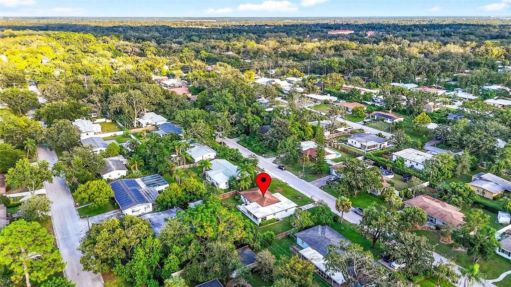 Image 60 of property listing at 206 FOREST PARK AVENUE, Temple Terrace, FL 33617