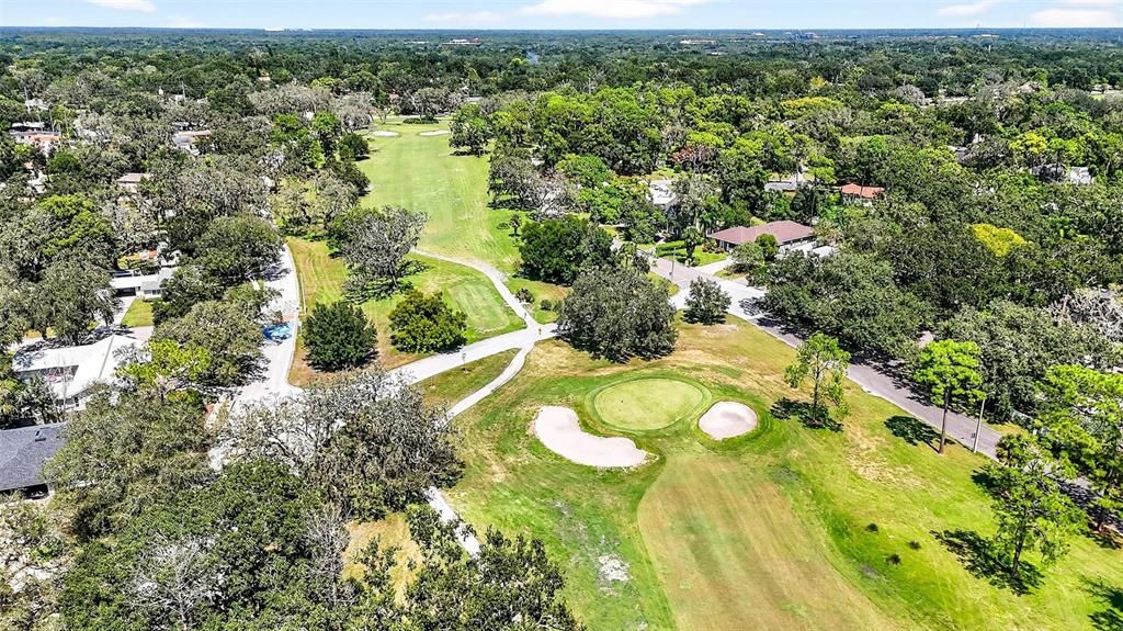 Image 61 of property listing at 206 FOREST PARK AVENUE, Temple Terrace, FL 33617