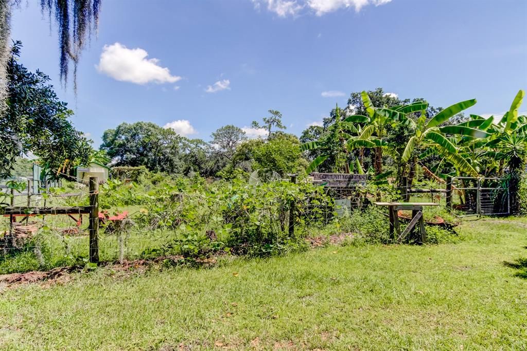 Image 66 of property listing at 206 FOREST PARK AVENUE, Temple Terrace, FL 33617