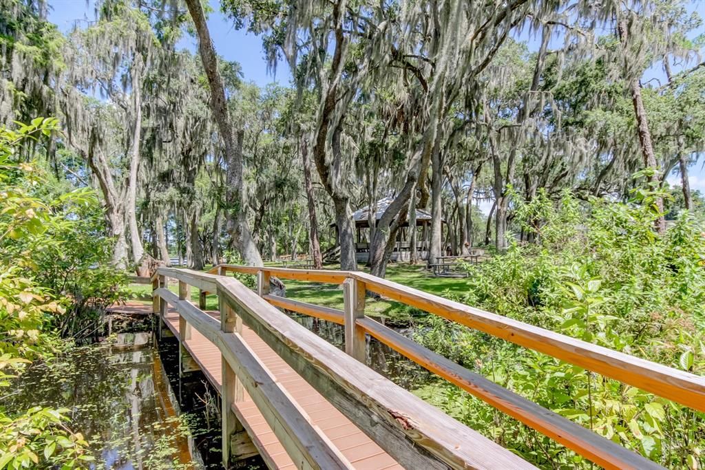 Image 68 of property listing at 206 FOREST PARK AVENUE, Temple Terrace, FL 33617