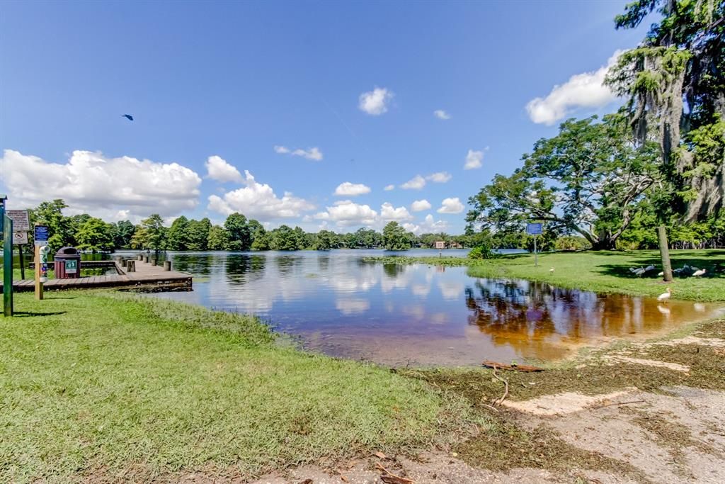 Image 69 of property listing at 206 FOREST PARK AVENUE, Temple Terrace, FL 33617