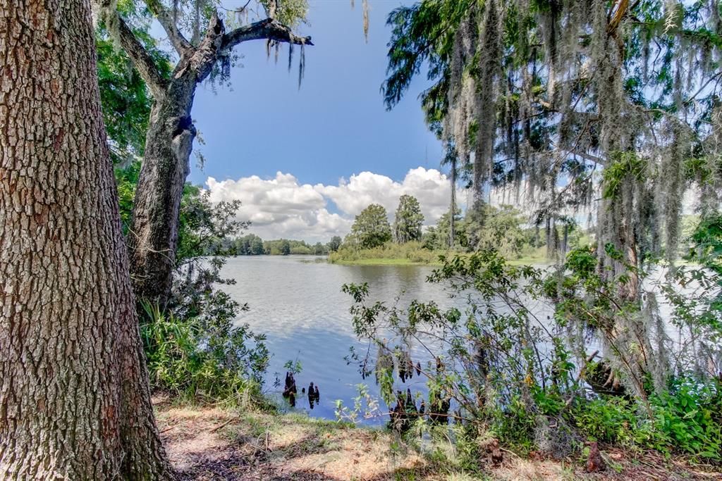 Image 70 of property listing at 206 FOREST PARK AVENUE, Temple Terrace, FL 33617