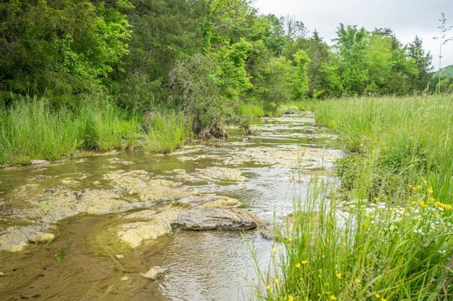 521 Coop Rd, Bell Buckle, TN 37020