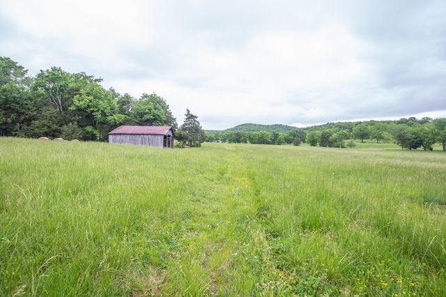 521 Coop Rd, Bell Buckle, TN 37020