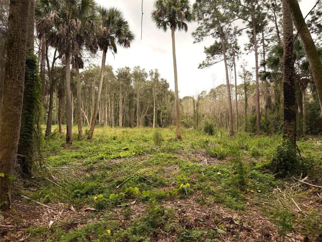 5225 SW Ludlum Street, Palm City, FL 34990