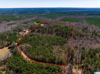 0 COUNTY ROAD 788, Clanton, AL 35046