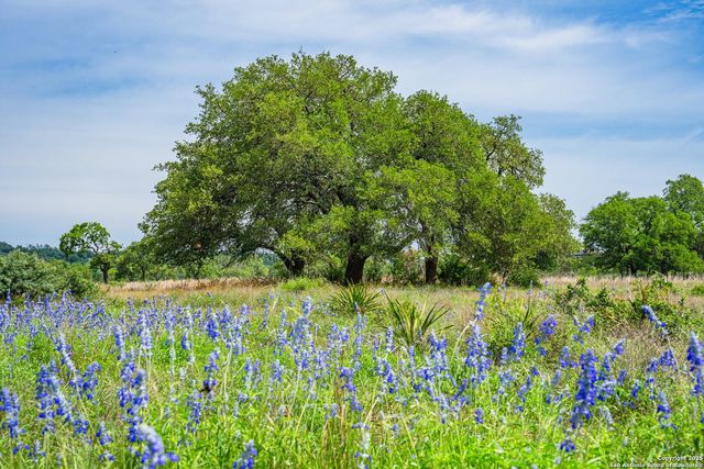 TBD Morris Tivydale Road, Fredericksburg, TX 78624