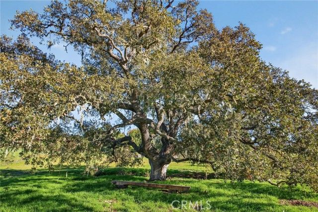 970 college canyon Road, Solvang, CA 93463