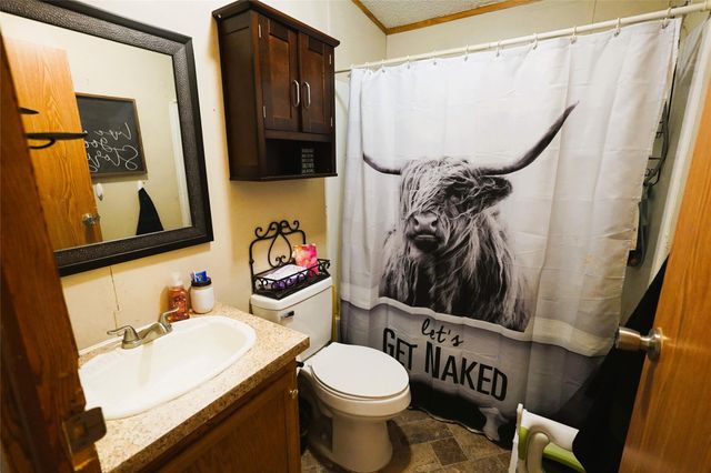 11614 Vistawood Street, Willis, TX 77318