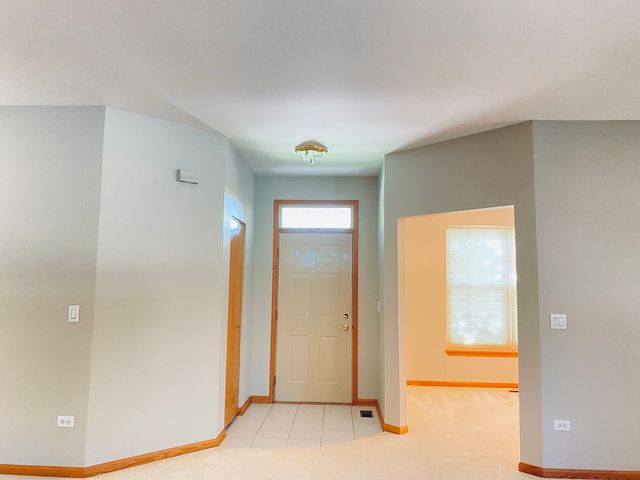 13520 S Buckthorn Lane, Plainfield, IL 60544
